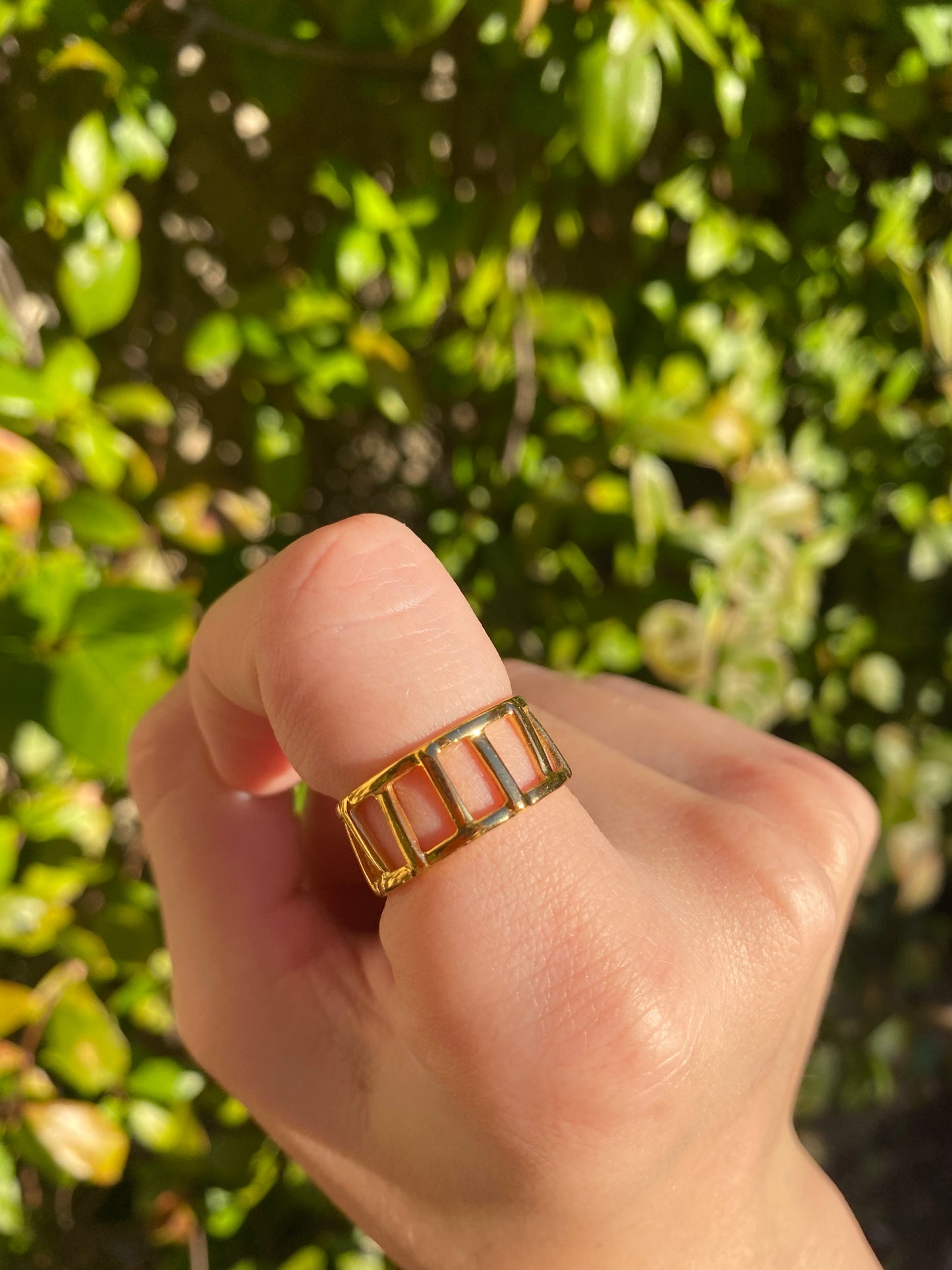 Anillo ariel