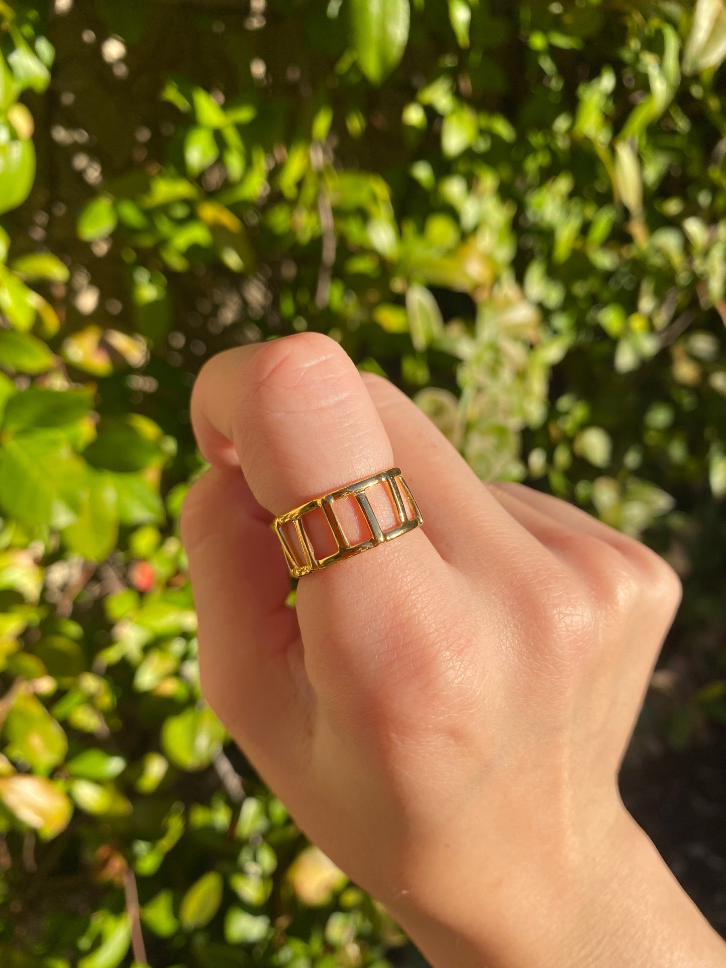 Anillo ariel